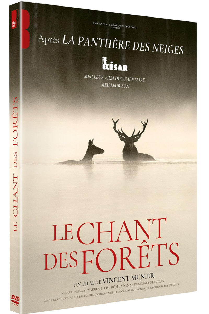 Le Chant des forêts