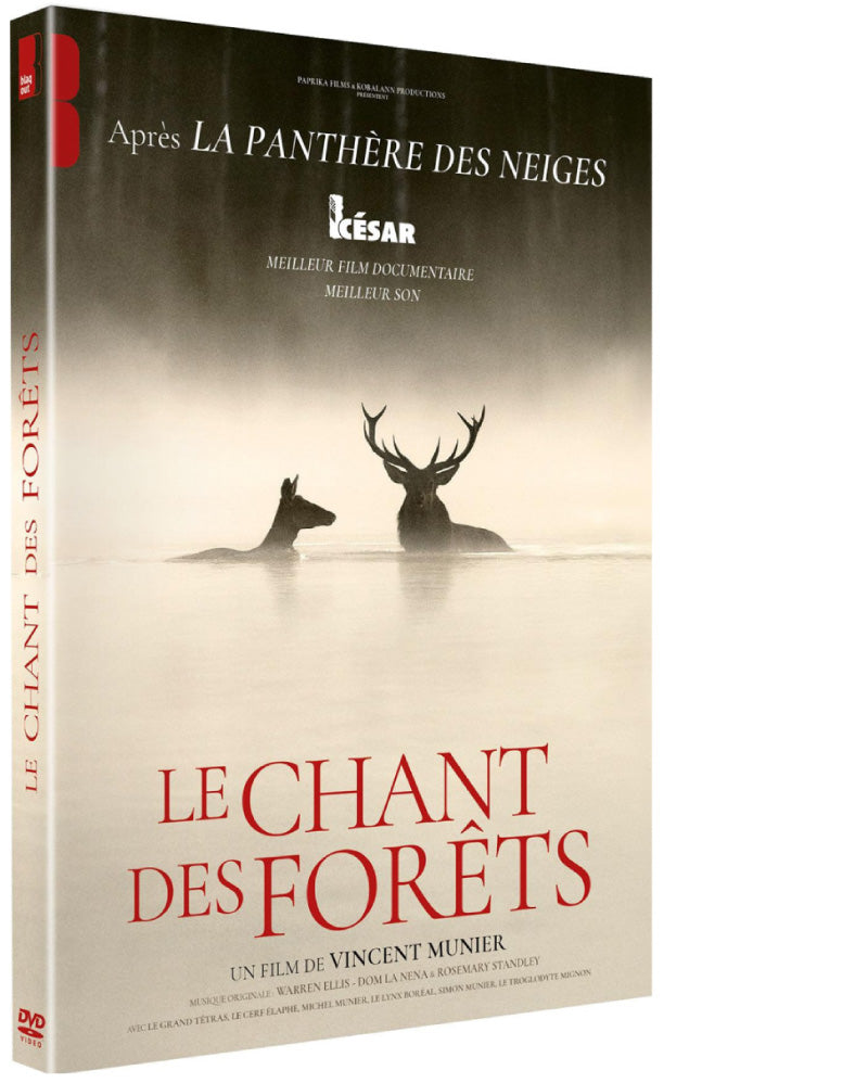 Le Chant des forêts