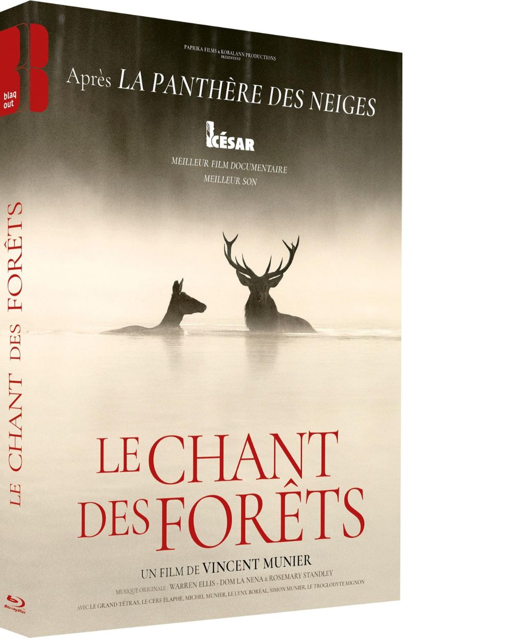 Le chant des forêts - Blu-Ray