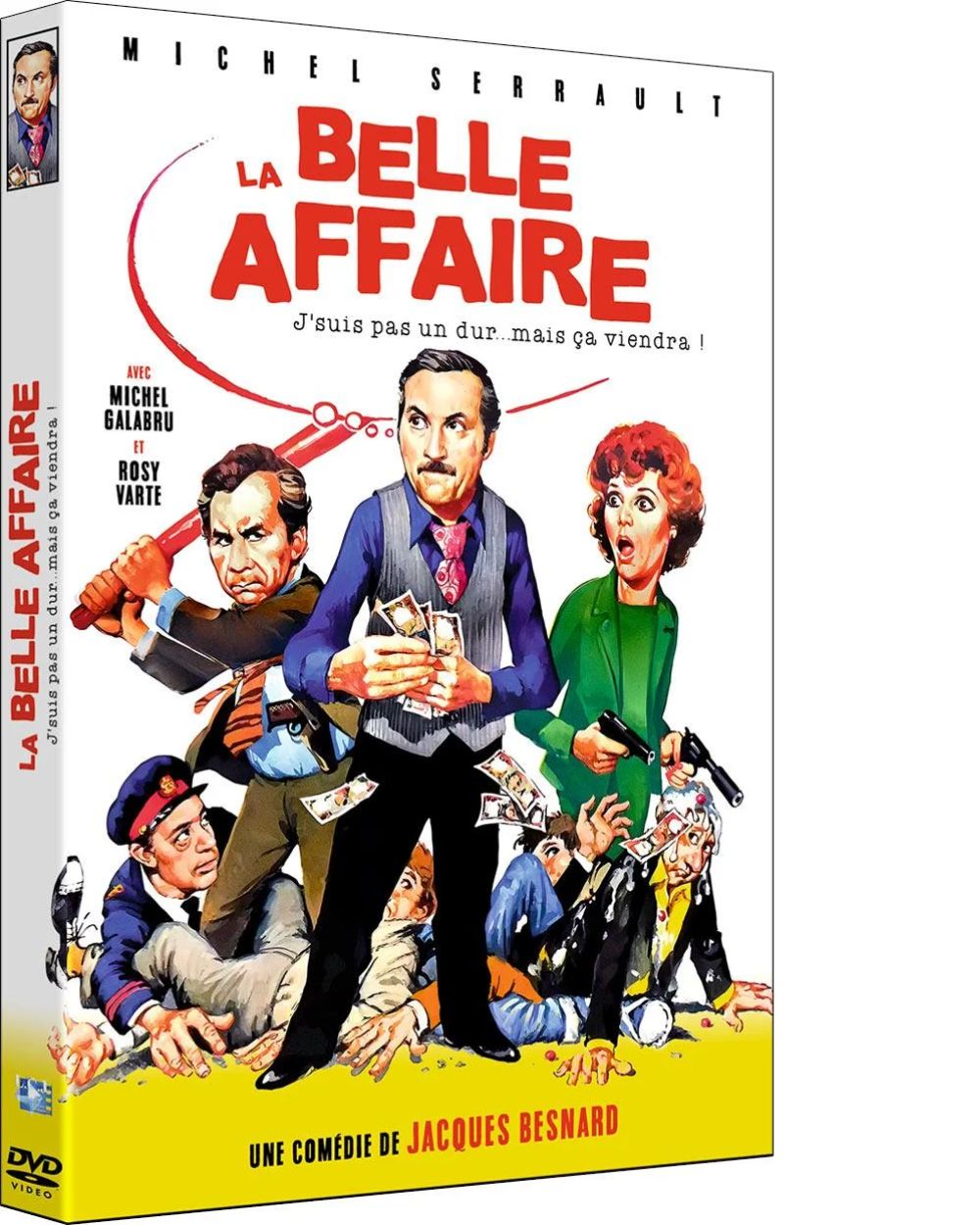 La belle affaire (DVD)